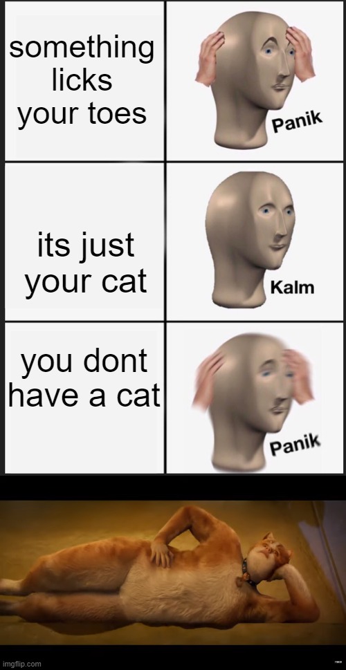 something licks your toes; its just your cat; you dont have a cat | image tagged in cats movie,memes,panik kalm panik | made w/ Imgflip meme maker