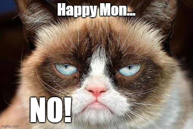 Mondays... | Happy Mon... NO! | image tagged in memes,grumpy cat not amused,grumpy cat | made w/ Imgflip meme maker
