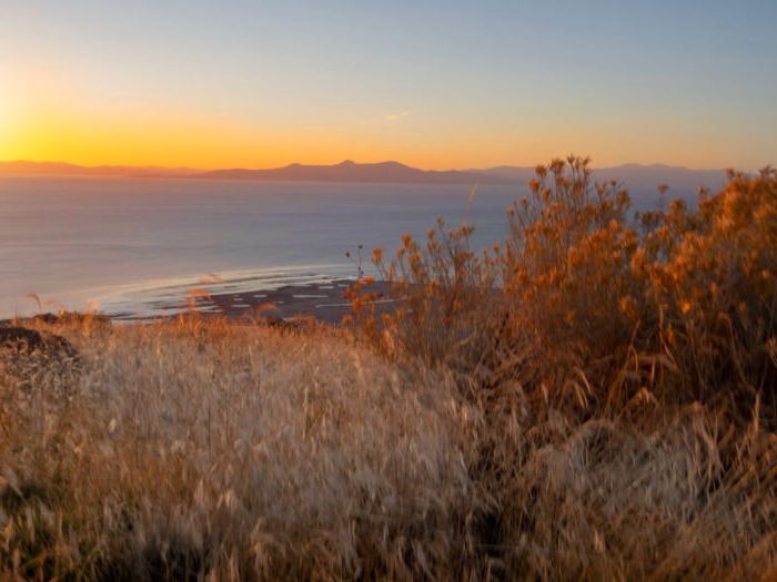 island Blank Meme Template