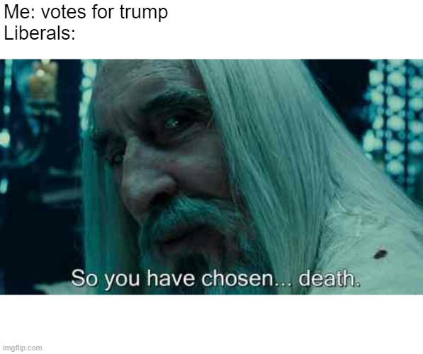 So you have chosen death | Me: votes for trump
Liberals: | image tagged in so you have chosen death,trump,liberals,liberal logic,trump 2020,political meme | made w/ Imgflip meme maker