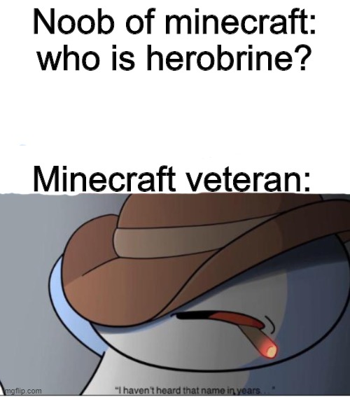 i haven't heard that name in years | Noob of minecraft: who is herobrine? Minecraft veteran: | image tagged in i haven't heard that name in years | made w/ Imgflip meme maker