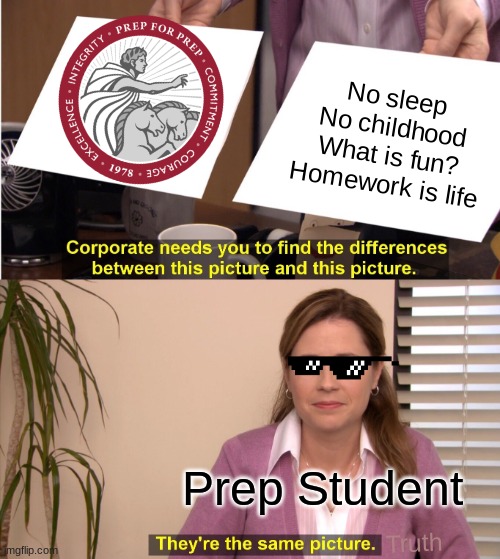 They're The Same Picture Meme | No sleep
No childhood
What is fun?
Homework is life; Prep Student; Truth | image tagged in memes,they're the same picture | made w/ Imgflip meme maker