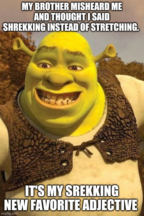 Y'all a lot so shrekking rodent | MY BROTHER MISHEARD ME AND THOUGHT I SAID SHREKKING INSTEAD OF STRETCHING. IT'S MY SREKKING NEW FAVORITE ADJECTIVE | image tagged in smiling shrek | made w/ Imgflip meme maker