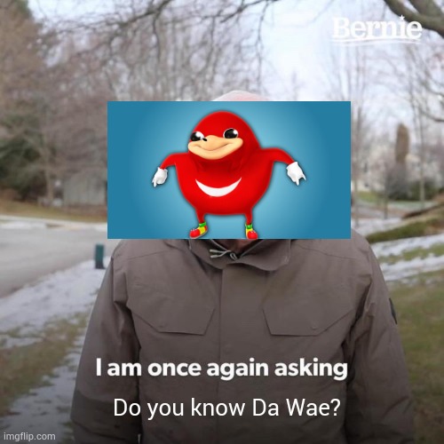 Bernie I Am Once Again Asking For Your Support | Do you know Da Wae? | image tagged in memes,bernie i am once again asking for your support | made w/ Imgflip meme maker