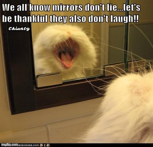 Mirror Mirror | 𝓒𝓱𝓲𝓪𝓷𝓽𝔂 | image tagged in laughing villains | made w/ Imgflip meme maker