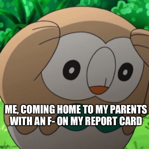 Rowlet Meme Template | ME, COMING HOME TO MY PARENTS WITH AN F- ON MY REPORT CARD | image tagged in rowlet meme template | made w/ Imgflip meme maker