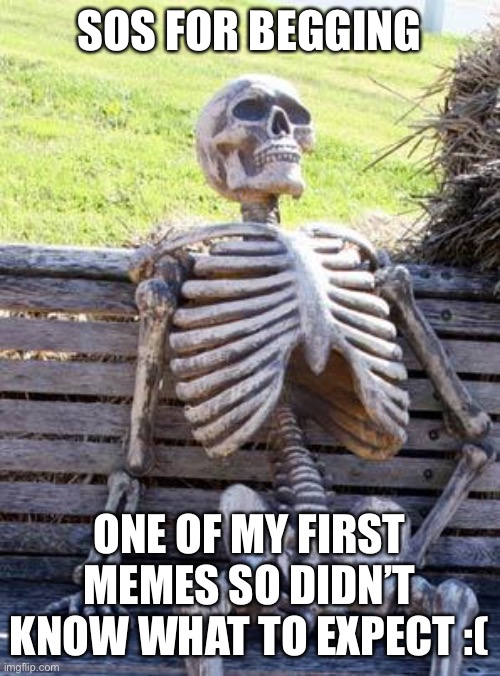 Last meme I begged | SOS FOR BEGGING; ONE OF MY FIRST MEMES SO DIDN’T KNOW WHAT TO EXPECT :( | image tagged in memes,waiting skeleton | made w/ Imgflip meme maker