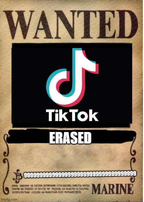 delete it | ERASED; 999999999999999999999999999999999999 | image tagged in one piece wanted poster template | made w/ Imgflip meme maker