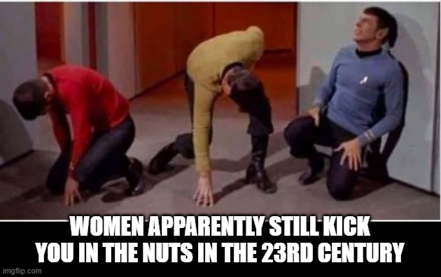 Still the Worst Pain Ever | WOMEN APPARENTLY STILL KICK YOU IN THE NUTS IN THE 23RD CENTURY | image tagged in star trek pained | made w/ Imgflip meme maker
