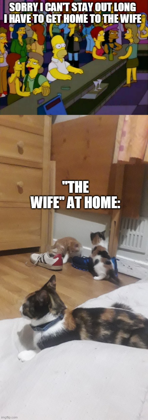 SORRY I CAN'T STAY OUT LONG I HAVE TO GET HOME TO THE WIFE; "THE WIFE" AT HOME: | image tagged in homer simpson me on facebook | made w/ Imgflip meme maker