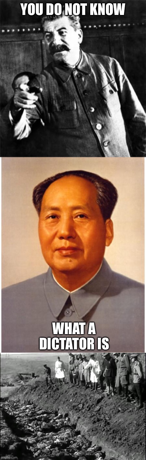 YOU DO NOT KNOW WHAT A DICTATOR IS | image tagged in stalin,chairman mao,socialist genocide | made w/ Imgflip meme maker