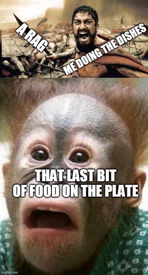 A RAG; ME DOING THE DISHES; THAT LAST BIT OF FOOD ON THE PLATE | image tagged in memes,sparta leonidas,shocked monkey | made w/ Imgflip meme maker