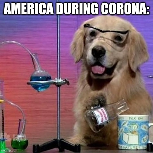 They have no idea what they are doing... | AMERICA DURING CORONA: | image tagged in memes,i have no idea what i am doing dog,coronavirus | made w/ Imgflip meme maker