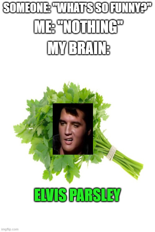 Elvis Parsley | SOMEONE: "WHAT'S SO FUNNY?"; ME: "NOTHING"; MY BRAIN:; ELVIS PARSLEY | image tagged in funny memes,blank white template,elvis presley | made w/ Imgflip meme maker