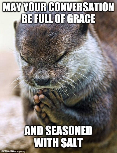 Inspired by Col. 4:6, share an interesting and thought provoking blessing with your fellow flippers! | MAY YOUR CONVERSATION BE FULL OF GRACE; AND SEASONED WITH SALT | image tagged in thank you lord otter,blessings,interesting | made w/ Imgflip meme maker