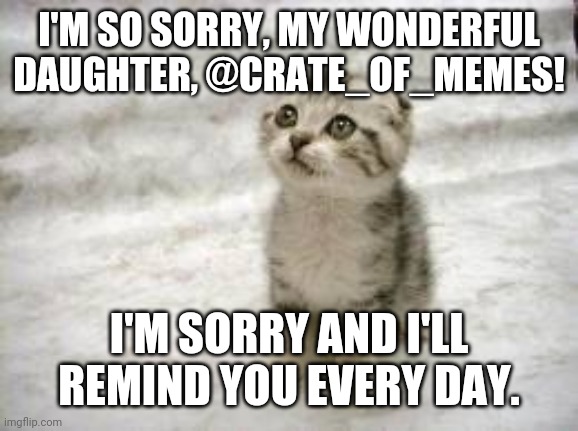 Sad Cat | I'M SO SORRY, MY WONDERFUL DAUGHTER, @CRATE_OF_MEMES! I'M SORRY AND I'LL REMIND YOU EVERY DAY. | image tagged in memes,sad cat | made w/ Imgflip meme maker