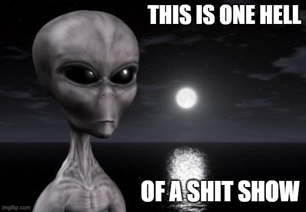 aliens looking at us | THIS IS ONE HELL; OF A SHIT SHOW | image tagged in why aliens won't talk to us | made w/ Imgflip meme maker