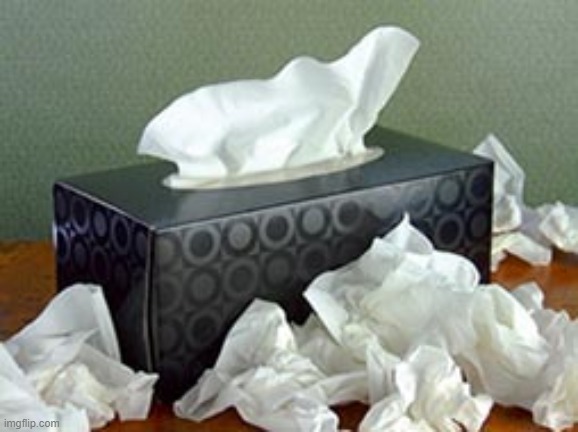 Tissue Box | image tagged in tissue box | made w/ Imgflip meme maker