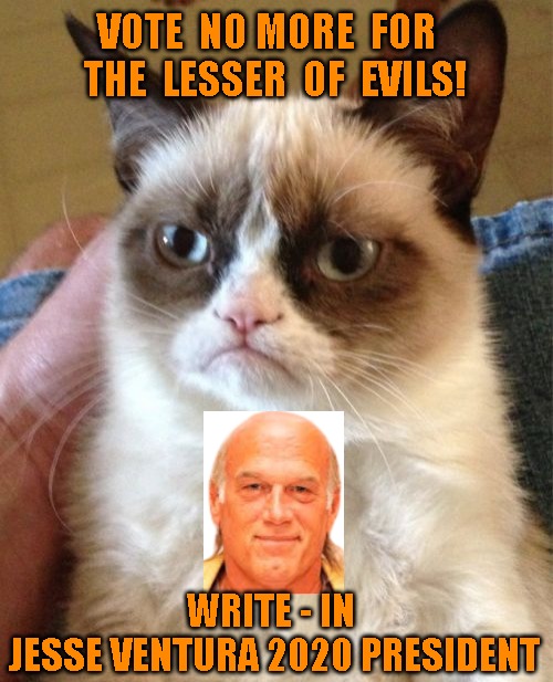 Grumpy Cat | VOTE  NO MORE  FOR  
THE  LESSER  OF  EVILS! WRITE - IN 
JESSE VENTURA 2020 PRESIDENT | image tagged in memes,grumpy cat | made w/ Imgflip meme maker