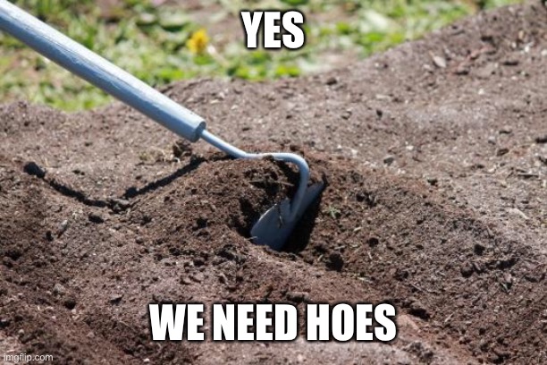 garden hoe | YES WE NEED HOES | image tagged in garden hoe | made w/ Imgflip meme maker