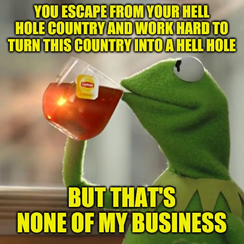 But That's None Of My Business | YOU ESCAPE FROM YOUR HELL HOLE COUNTRY AND WORK HARD TO TURN THIS COUNTRY INTO A HELL HOLE; BUT THAT'S NONE OF MY BUSINESS | image tagged in memes,but that's none of my business,kermit the frog | made w/ Imgflip meme maker