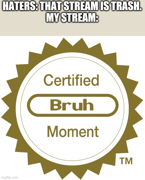 Bruh moment. | HATERS: THAT STREAM IS TRASH.
MY STREAM: | image tagged in certified bruh moment,lol,funny,memes | made w/ Imgflip meme maker