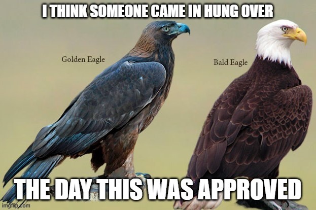 bald eagle golden eagle | image tagged in bald golden eagle | made w/ Imgflip meme maker