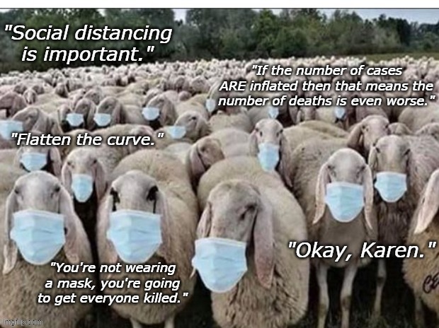 Sign of the Sheeple | "Social distancing is important."; "If the number of cases ARE inflated then that means the number of deaths is even worse."; "Flatten the curve."; "Okay, Karen."; "You're not wearing a mask, you're going to get everyone killed." | image tagged in sign of the sheeple | made w/ Imgflip meme maker