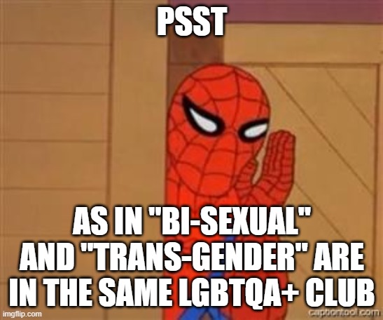 psst spiderman | PSST AS IN "BI-SEXUAL" AND "TRANS-GENDER" ARE IN THE SAME LGBTQA+ CLUB | image tagged in psst spiderman | made w/ Imgflip meme maker