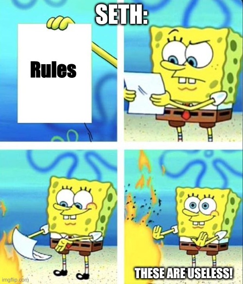 Seth Sorenson the Rule Breaker | SETH:; Rules; THESE ARE USELESS! | image tagged in fablehaven,seth sorenson,kendra,rules,books,dragon watch | made w/ Imgflip meme maker