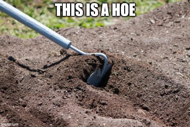 garden hoe | THIS IS A HOE | image tagged in garden hoe | made w/ Imgflip meme maker