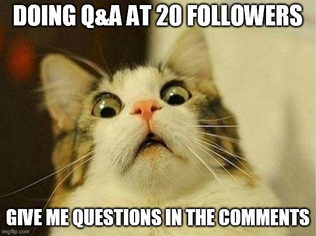 Scared Cat | DOING Q&A AT 20 FOLLOWERS; GIVE ME QUESTIONS IN THE COMMENTS | image tagged in memes,scared cat | made w/ Imgflip meme maker