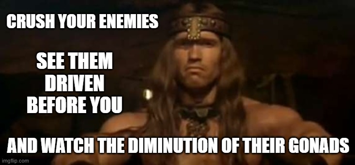 Diminution of gonads | CRUSH YOUR ENEMIES; SEE THEM DRIVEN BEFORE YOU; AND WATCH THE DIMINUTION OF THEIR GONADS | image tagged in conan the pit fighter,conan,memes,arnold schwarzenegger | made w/ Imgflip meme maker