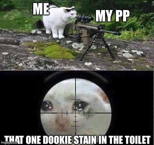 Ready...aim..FIRE | MY PP; ME; THAT ONE DOOKIE STAIN IN THE TOILET | image tagged in funny,memes,poop,cat sniper | made w/ Imgflip meme maker
