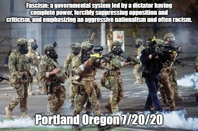US Fascism | Fascism: a governmental system led by a dictator having complete power, forcibly suppressing opposition and criticism, and emphasizing an aggressive nationalism and often racism. Portland Oregon 7/20/20 | image tagged in trump,fascism,stormtroopers | made w/ Imgflip meme maker
