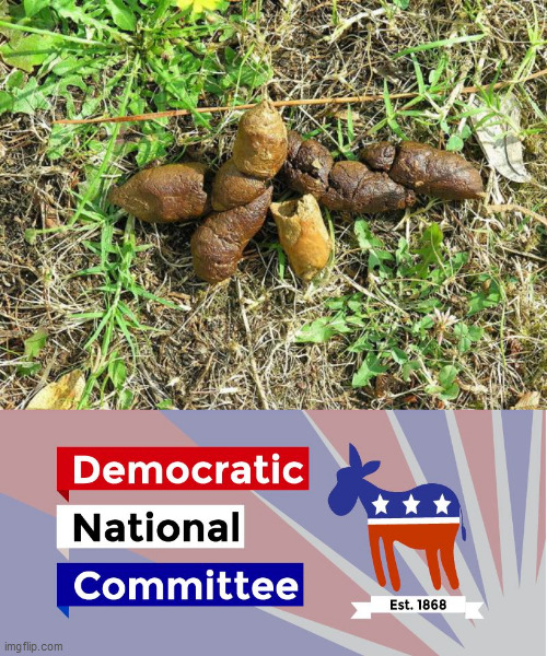 image tagged in dog turd,dnc | made w/ Imgflip meme maker