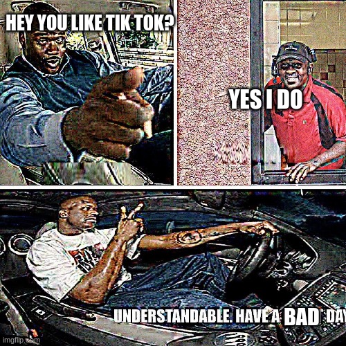 Tik tok meme | HEY YOU LIKE TIK TOK? YES I DO; BAD | image tagged in understandable have a great day | made w/ Imgflip meme maker