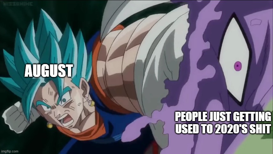 Calling it now | AUGUST; PEOPLE JUST GETTING USED TO 2020'S SHIT | image tagged in vegito punches zamasu,2020 | made w/ Imgflip meme maker