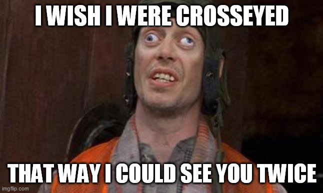 Looks Good To Me | I WISH I WERE CROSSEYED; THAT WAY I COULD SEE YOU TWICE | image tagged in looks good to me | made w/ Imgflip meme maker