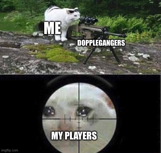 Sniper cat | ME; DOPPLEGANGERS; MY PLAYERS | image tagged in sniper cat | made w/ Imgflip meme maker