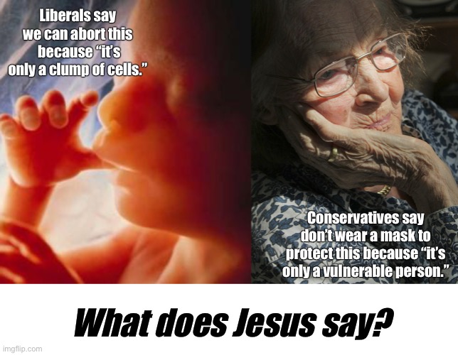 Liberals say we can abort this  because “it’s only a clump of cells.”; Conservatives say don’t wear a mask to protect this because “it’s only a vulnerable person.”; What does Jesus say? | image tagged in covid-19,masks,liberals vs conservatives,jesus,coronavirus,christianity | made w/ Imgflip meme maker