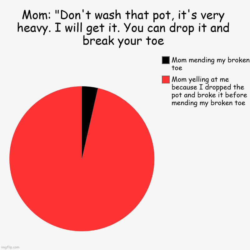 Almost Everyone's Mom Growing Up | Mom: "Don't wash that pot, it's very heavy. I will get it. You can drop it and break your toe | Mom yelling at me because I dropped the pot  | image tagged in charts,pie charts | made w/ Imgflip chart maker