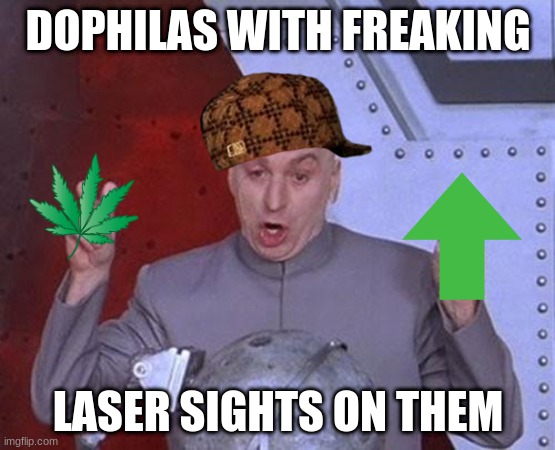Laser dophilas | DOPHILAS WITH FREAKING; LASER SIGHTS ON THEM | image tagged in memes,dr evil laser,funny | made w/ Imgflip meme maker