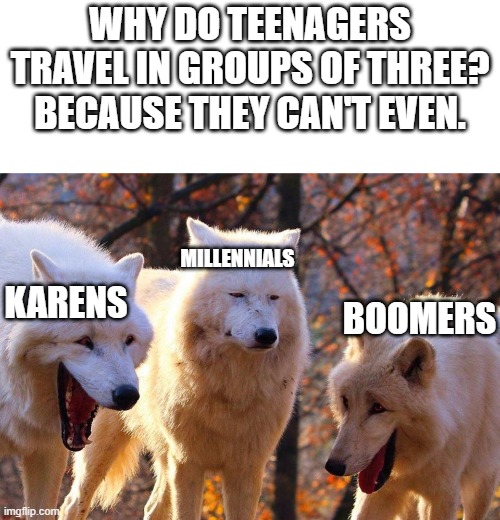 This Joke | WHY DO TEENAGERS TRAVEL IN GROUPS OF THREE?
BECAUSE THEY CAN'T EVEN. MILLENNIALS; KARENS; BOOMERS | image tagged in 2/3 wolves laugh | made w/ Imgflip meme maker