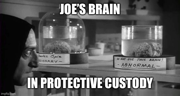 Abby Normal Brain | JOE’S BRAIN IN PROTECTIVE CUSTODY | image tagged in abby normal brain | made w/ Imgflip meme maker