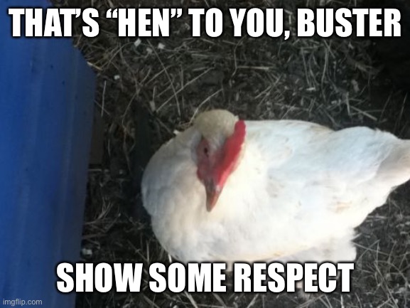 Angry Chicken Boss Meme | THAT’S “HEN” TO YOU, BUSTER SHOW SOME RESPECT | image tagged in memes,angry chicken boss | made w/ Imgflip meme maker