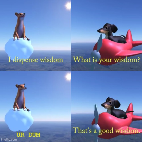 Dog or very wisdom | UR DUM | image tagged in that's a good wisdom | made w/ Imgflip meme maker