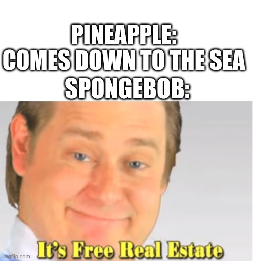 It's Free Real Estate | PINEAPPLE: COMES DOWN TO THE SEA; SPONGEBOB: | image tagged in it's free real estate | made w/ Imgflip meme maker