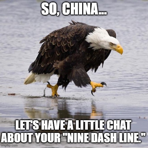 Angry Eagle | SO, CHINA... LET'S HAVE A LITTLE CHAT ABOUT YOUR "NINE DASH LINE." | image tagged in angry eagle | made w/ Imgflip meme maker