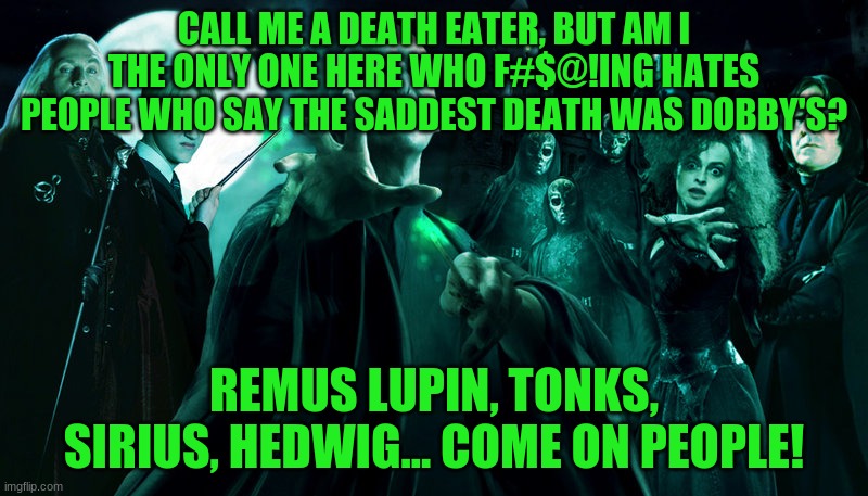 I mean, yes, Dobby died a sad death, but other characters need to be loved too! Remus and Tonks had me at tears. | CALL ME A DEATH EATER, BUT AM I THE ONLY ONE HERE WHO F#$@!ING HATES PEOPLE WHO SAY THE SADDEST DEATH WAS DOBBY'S? REMUS LUPIN, TONKS, SIRIUS, HEDWIG... COME ON PEOPLE! | image tagged in death eaters | made w/ Imgflip meme maker